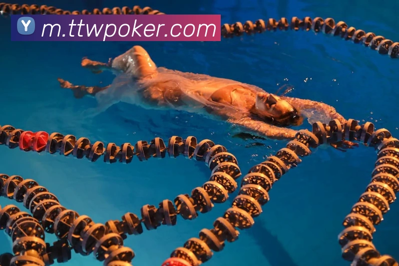 德州扑克官网平台生态图